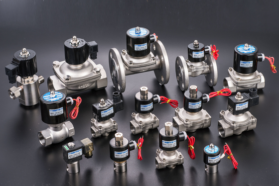 Válvula solenoide de latón eléctrica hidráulica 12V 24V 110V 220V AC DC Bobina de cobre de agua