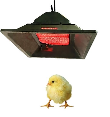 Calentador de gas de la criadora de pollos modelo 4 LPG NG Biogas Gas de la criadora en aves de corral