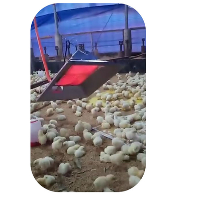 Modelo 4 del calentador de la criadora de aves de corral de la granja de pollos para la seguridad del cobertizo del pollito del cerdo