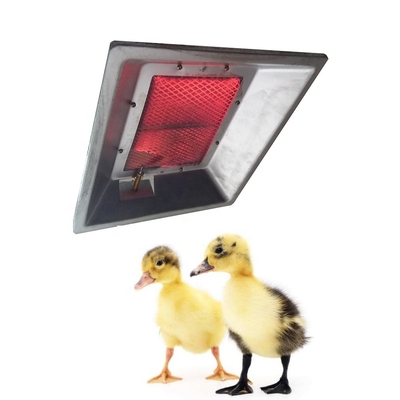Gallina clueca automática Heater Farm Rearing Gas THD2606 de las aves de corral del CE