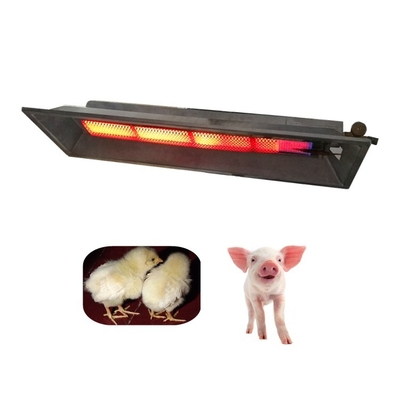 Pájaros infrarrojos THD6806 de Heater Chicks Heating System For de la gallina clueca de las aves de corral del gas del Lpg