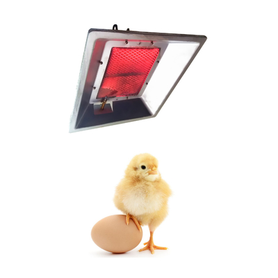 Lámpara de calor de la gallina clueca del gas del pollo Heater For Chicks infrarroja THD2606