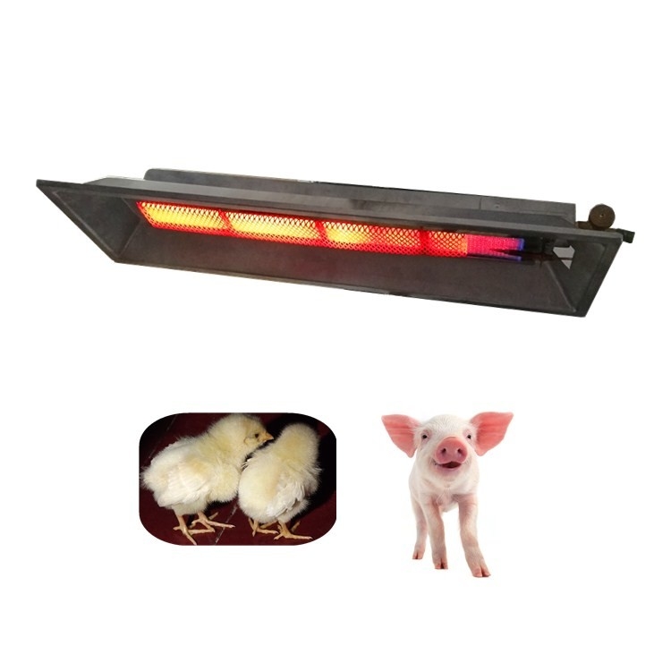 Gallina clueca infrarroja de cerámica Heater For Garage Or Workshop 4000pa del gas natural